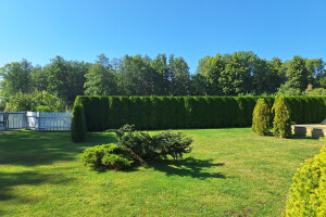 ARBORREIN OÜ Haljastustööd