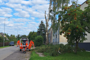 ARBORREIN OÜ Haljastustööd