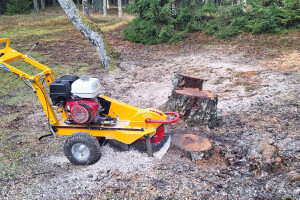 ARBORREIN OÜ Haljastustööd