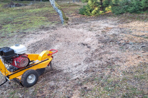 ARBORREIN OÜ Haljastustööd