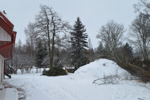 ARBORREIN OÜ Haljastustööd