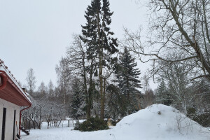 ARBORREIN OÜ Haljastustööd