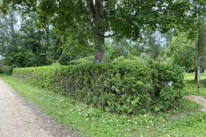 Hekimeister OÜ Haljastustööd