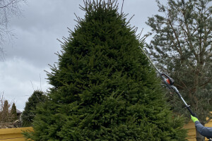 Hekimeister OÜ Haljastustööd