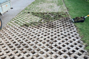 Hekimeister OÜ Haljastustööd