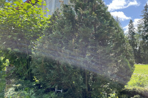 Hekimeister OÜ Haljastustööd