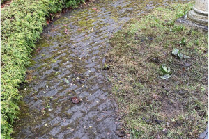 Hekimeister OÜ Haljastustööd