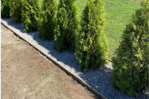 Hekimeister OÜ Haljastustööd