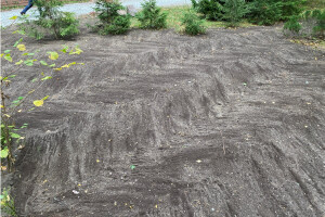 Hekimeister OÜ Haljastustööd