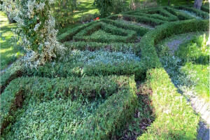 Hekimeister OÜ Haljastustööd