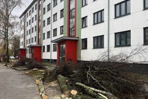 Villigarden OÜ Haljastustööd