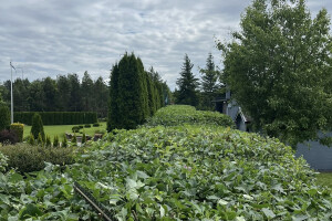 Villigarden OÜ Haljastustööd