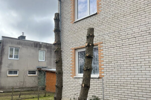Villigarden OÜ Haljastustööd