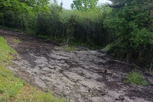 Saare Infra OÜ Teede ehitus teede korrashoid