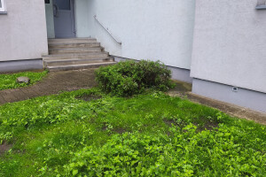Reimets OÜ Haljastustööd