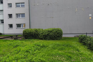 Reimets OÜ Haljastustööd