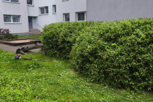 Reimets OÜ Haljastustööd