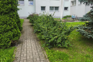 Reimets OÜ Haljastustööd