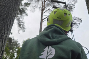 Puutegelane OÜ Haljastustööd