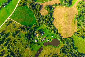 Glorious Trade      OÜ Ehitusalane nõustamine