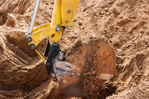 Glorious Trade      OÜ Ehitusalane nõustamine