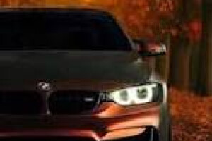 Glorious Trade      OÜ Ehitusalane nõustamine