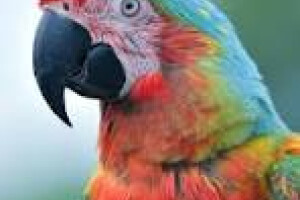 Glorious Trade      OÜ Ehitusalane nõustamine