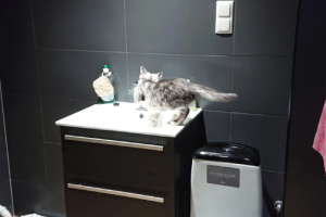 Optiman Ehitus OÜ Korterite remont