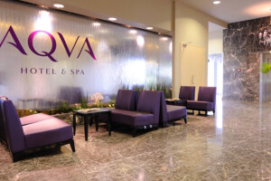 Härma Ehitus OÜ Plaatimistööd