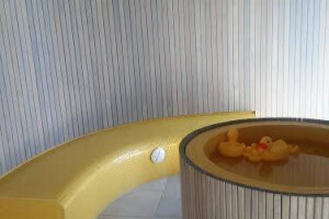 Härma Ehitus OÜ Plaatimistööd