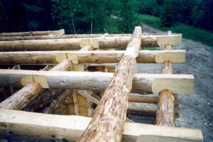 Pupsi AZ OÜ Puitehitised, Palkmajad, ümarpalkmajad, katusetööd