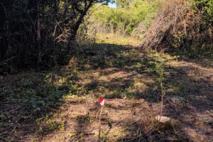 Duree OÜ Teede ehitus teede korrashoid