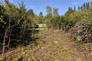 Duree OÜ Teede ehitus teede korrashoid