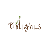BOLIGHUS OÜ logo
