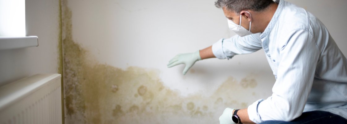 veekahjustus, hallitus, hallitus seinal, hallituse kõrvaldamine, vamm