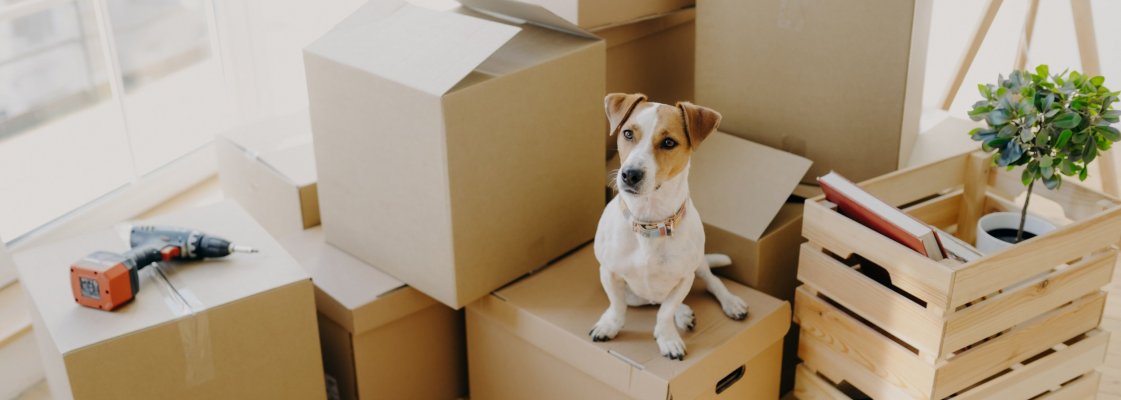 kolimisteenus, kolimisfirma , kolimine, kuidas kolida, tõstetööd , mööbli kolimine , kaubiku rent
