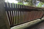 IMG_3151.jpeg