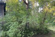 IMG_5753.JPG