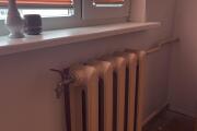 IMG_5859.jpeg