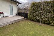 IMG_2379.jpeg