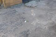 20260630_084747.jpg