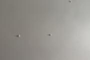 IMG_8026.jpeg