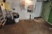 IMG_20260820_194259.jpg