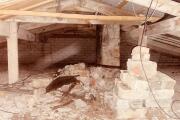 IMG_0604.JPEG