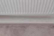 20260517_142536.jpg