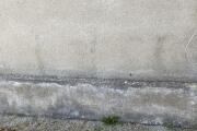 IMG_0198.jpeg