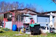 IMG_20260601_144802.jpg