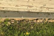 IMG_2913.jpeg