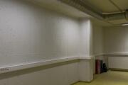 IMG_0238.jpeg