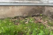 IMG_2917.jpeg